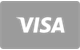 Pago con Visa en ToonieBet Casino